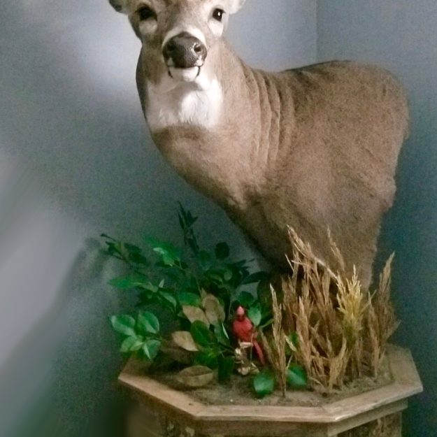 Whitetail Floor Pedestal