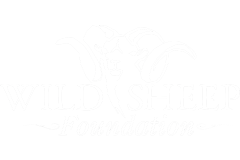 wild sheep foundation
